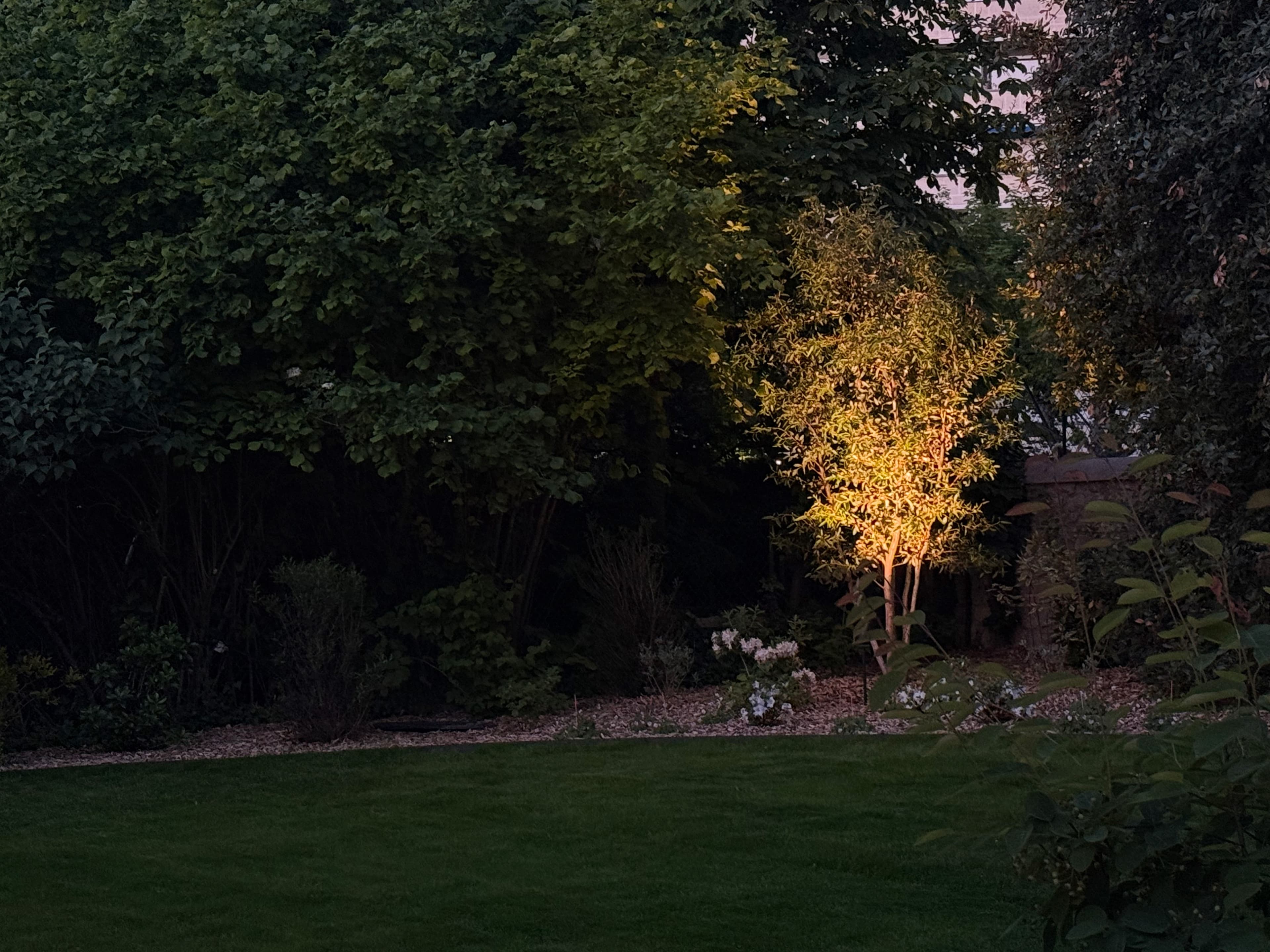 Murmures guest house — garden view